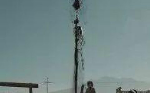 有没有钱原来关键在于此。