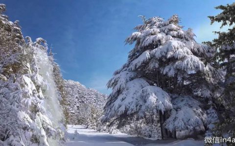 诗一般的广告！雀巢纯净生活的真实故事！（阳狮）
