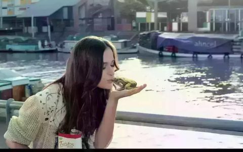 现代青蛙王子的故事！（BBDO 阿根廷）