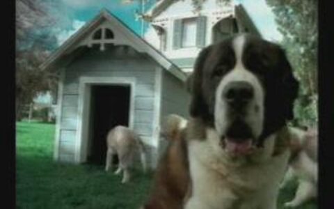 004愉景新城之我回来了篇1分钟