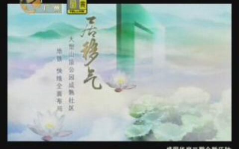 015富豪山庄盛翠华庭2期领峰力作篇