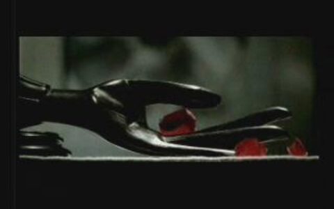 060伊顿18之品味篇