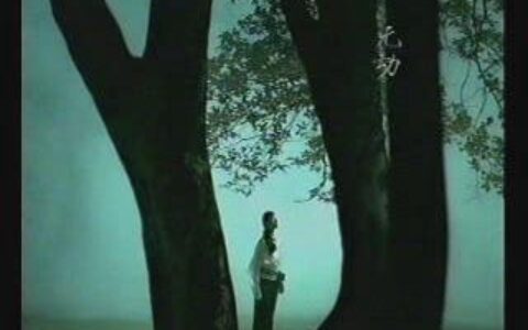 072汇景新城棕榈园之无篇30秒