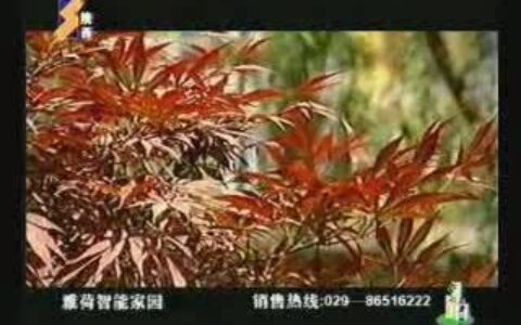 142雅荷智能家园