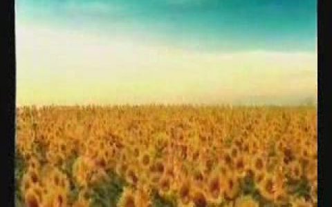 006金融类广告 (1).