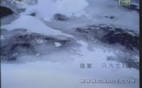 088中国农业银行形象片-大地回春篇30秒