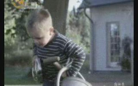 154奔驰E230轿车种花篇