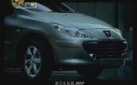 159东风标致307新悦新世界篇