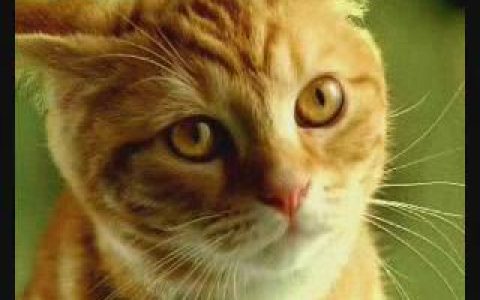 166东风日产TIIDA2008不得了篇