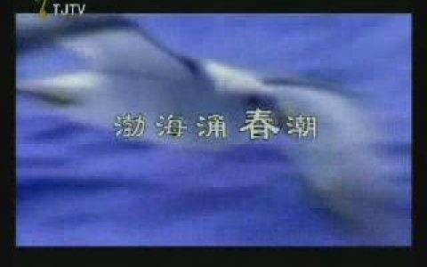 180渤海银行新气象篇