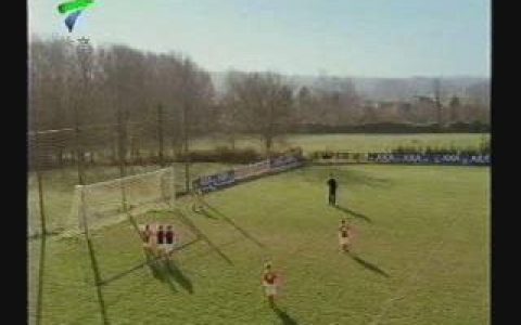 184金盛保险了解篇