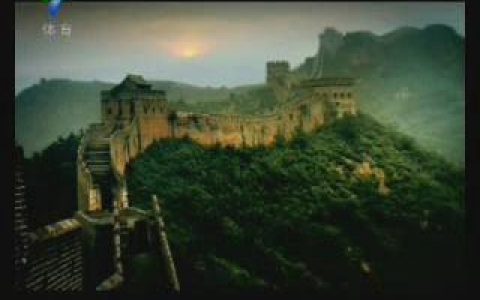 185VISA参加奥运的方法篇