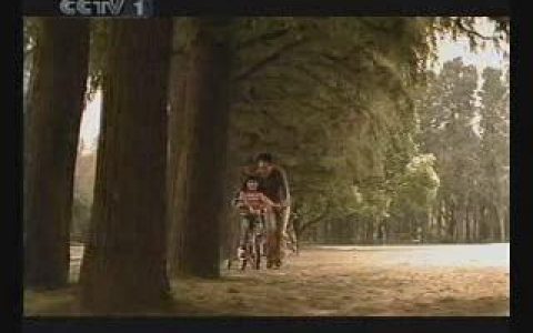 202雅居乐雍景豪园之心愿篇