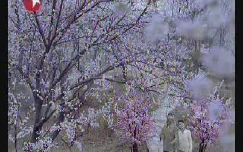 213中国建设银行关爱卡这是爱篇