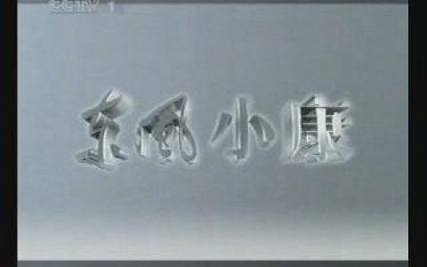 251东风小康全新奉献篇