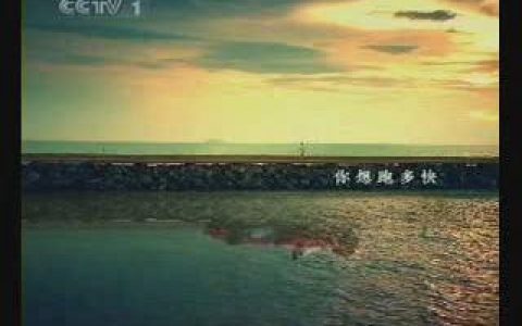 257中国农业银行梦想篇