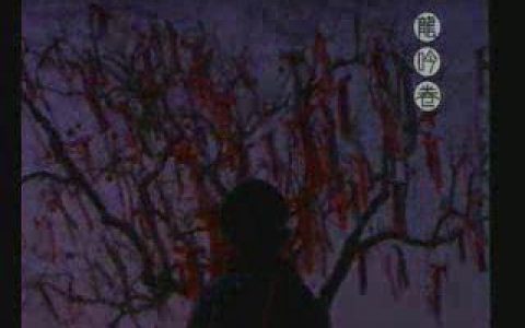 340广州雅居乐半山豪华别墅之峰会篇