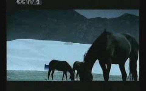 343光大豪苑花园