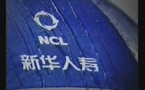 366中银集团--风筝篇