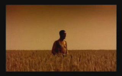 378中银集团--麦田篇