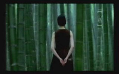 382中银集团--竹林篇