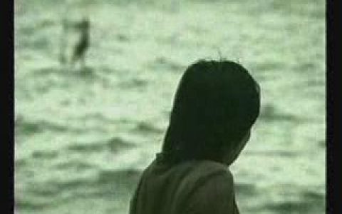 388恒生银行之李丽珊的选择篇