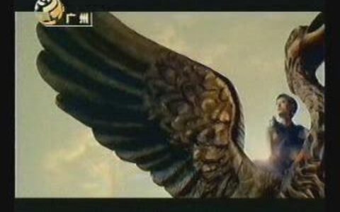 411珠江御景湾驯服篇