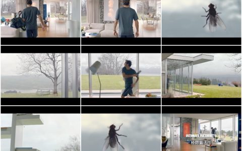 184网球天王费德勒差点被一隻苍蝇打败