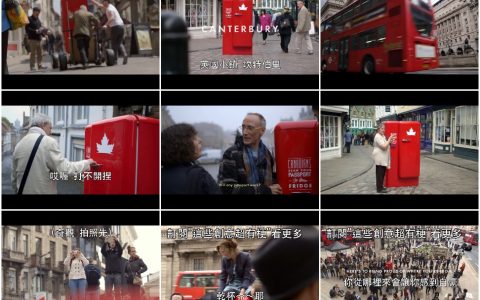 225欧洲各地有一台需要‘加拿大护照’才能打开的冰箱