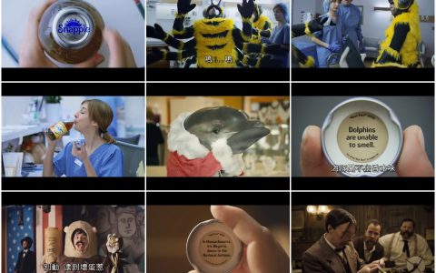 245‘蜜蜂一出生就是大人’生活冷知识广告