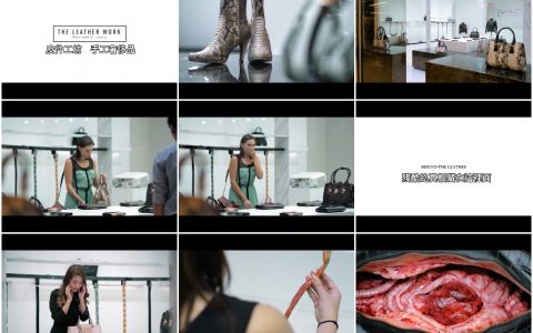 267‘事实超残酷’打开皮件裡头发现血淋淋的真相...