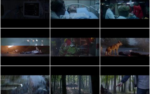 282‘为什麽不能弃养’看完你就懂了