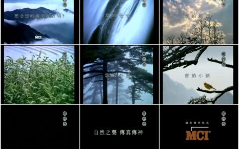 388MCI之环球亲朋好友