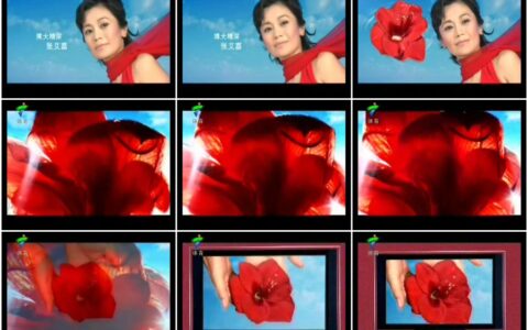 437SONY BRAVIA 欣赏张艾嘉的红篇