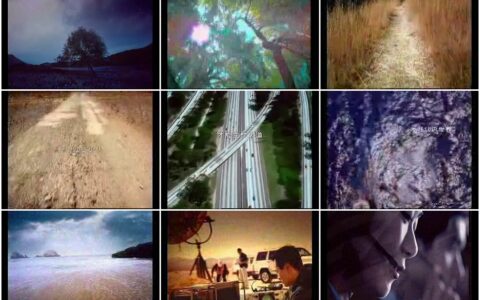 437中国电信历经岁月篇