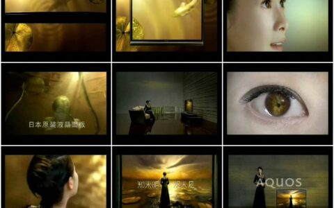 441SHARP AQUOS液晶电视感官篇