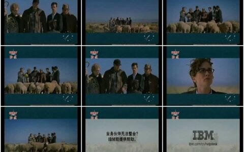 441IBM之草原上的整合会议篇