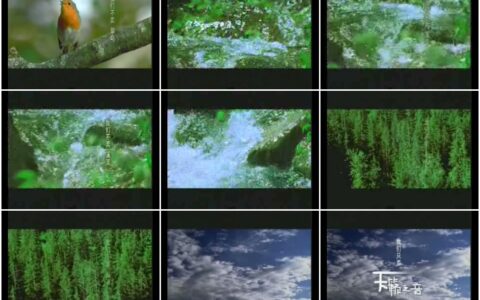 443金正之天籁之音