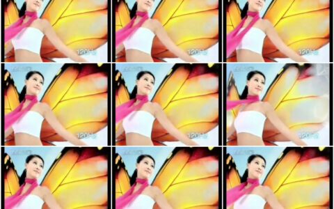 450康佳铂晶平板电视彩色篇