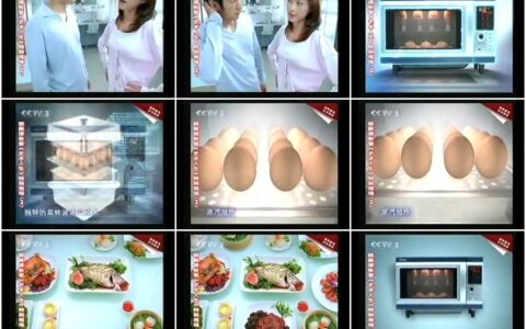 454海尔蒸气转波炉蒸气篇