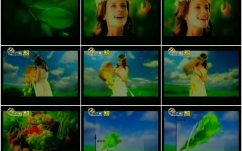 464海尔鲜+变频冰箱果园篇