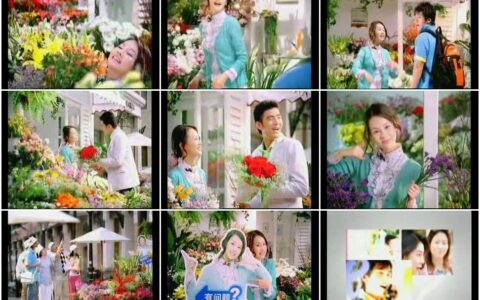 482中国电信号码百事通花店老板篇