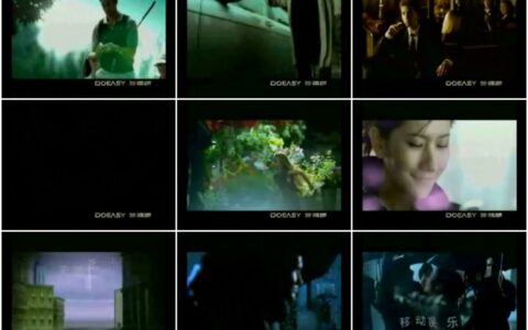 489波导多易随手机商务篇