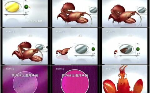 586美的紫微光微波炉龙虾篇