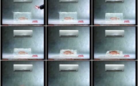 591美的空调鱼解冰篇