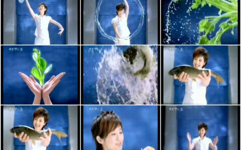 595海信矢量变频冰箱变戏法篇