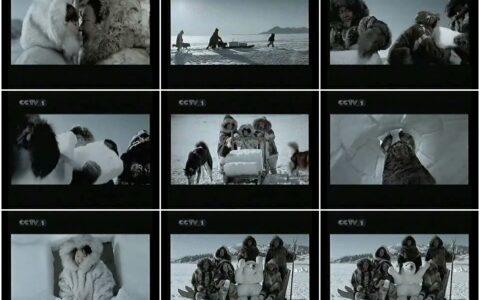 596美的空调雪地生活篇