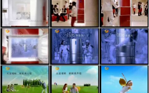 598[]海尔变频三门冰箱.wmv