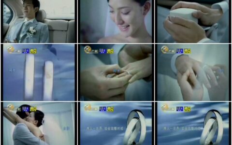 1013[]hw PLATINUM铂金对戒誓言篇