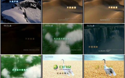 1042日月星植物蛋白-环境篇15秒